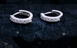 Korean Fashion Exquisite Round Crystal Silver Color Earrings For Women Small Hoop Earrings Wedding Party Jewelry Wholesale