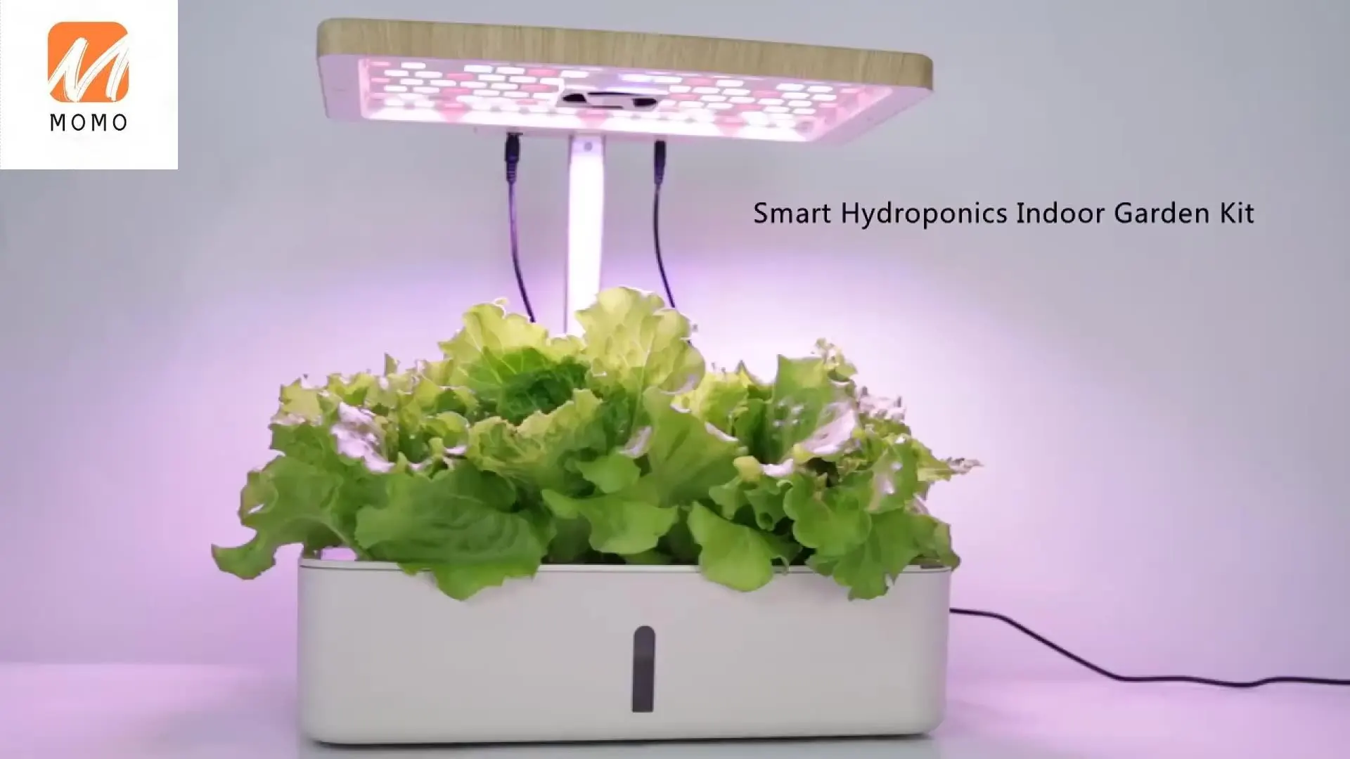 Hydroponic Smart Plant Pot Indoor Herb Garden Kit Mini Smart Garden For Plants