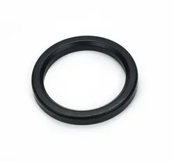 1186722 COFFEE MACHINE GROUP SEAL / FILTER HOLDER GASKET 73x57x8 LA PAVONI WEGA