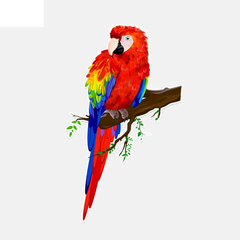 Small Town 9.9*16.7CM Beautiful Parrots Decor Colored PVC Car Sticker Personalized High Quality 11A0146