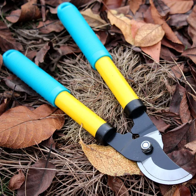 Vườn Tỉa Kéo Trái Cây Cây Hoa Cành Dao 3CM Nhà Tông Đơ Cắt Phòng Hộ Kéo Cắt Cây Bụi Kéo Cắt Hàng Rào Cắt Dụng Cụ