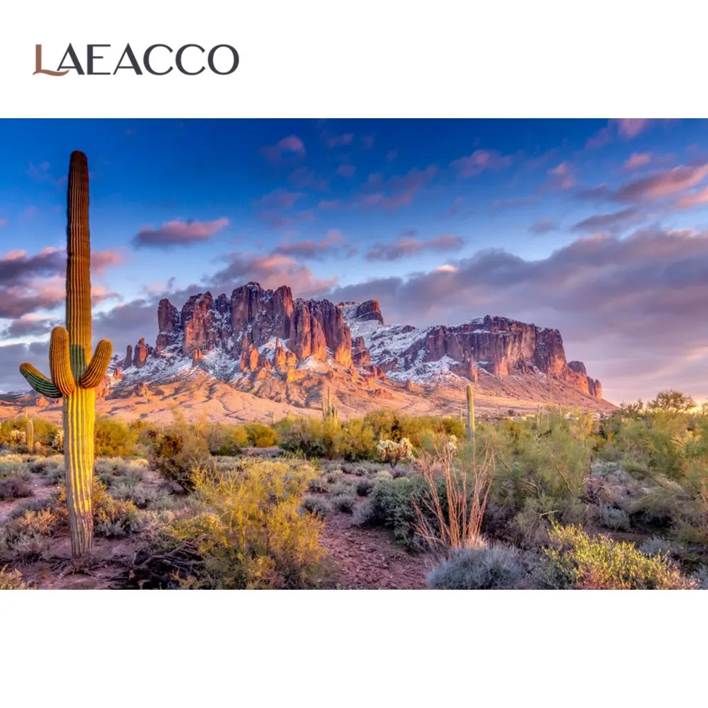 Laeacco Nature Backgrounds Cactus Desert Sunset Shrub Stone Aurora Scenic Photographic Backdrops Photocall Photo Studio