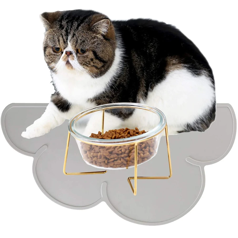 Imagem -03 - Suprempet Antiderrapante Gato Tigelas Óculos Única Tigelas com Suporte de Ouro Alimentos para Animais de Estimação & Tigelas de Água para Gatos Alimentadores de Cães Produtos para Animais de Estimação Tigela de Gato