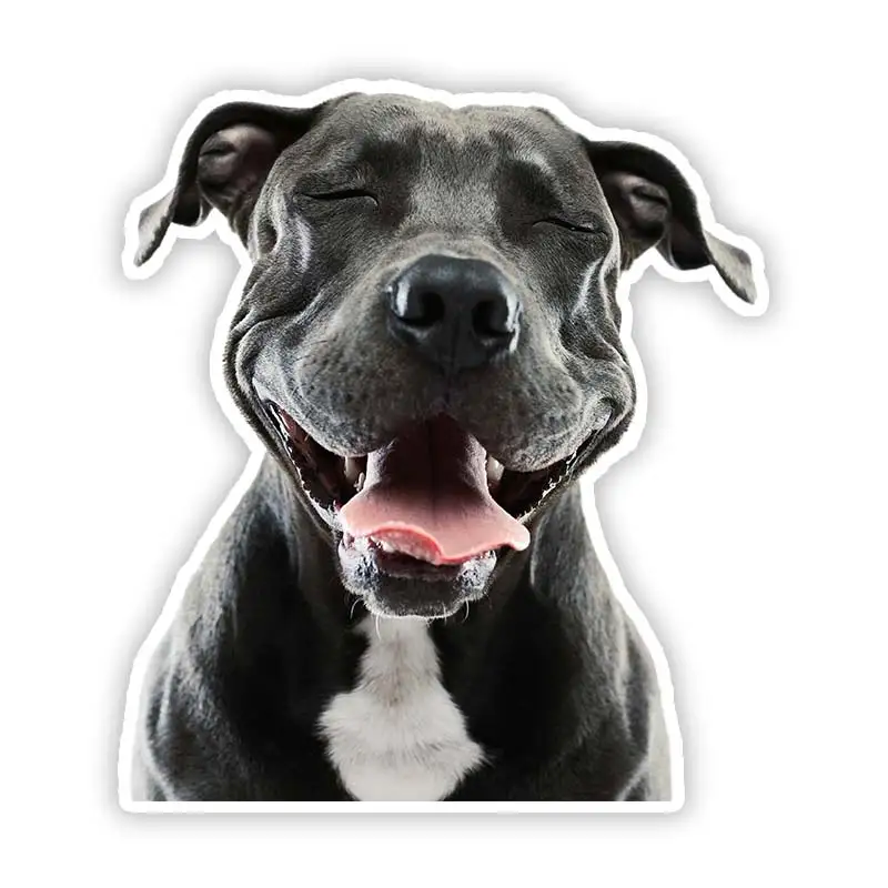 

B0698# Height 17cm Decal Pit Bull Car Sticker Waterproof Auto Decors on Bumper Rear Window Motorcycle Laptop Helmet