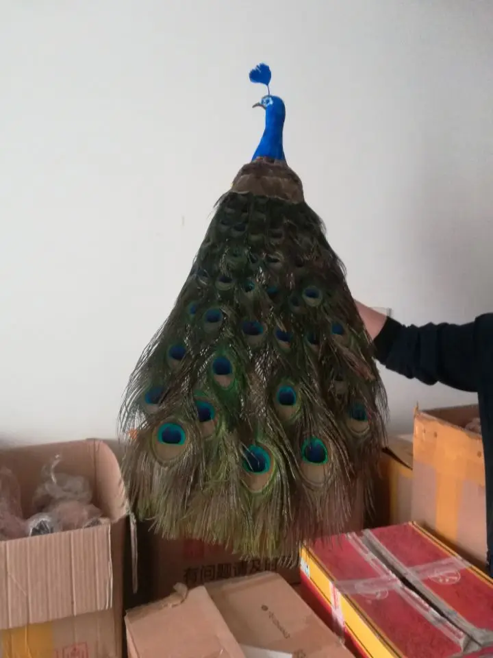 cute real life peacock model foam&feather simulation peacock gift about 80cm xf2652