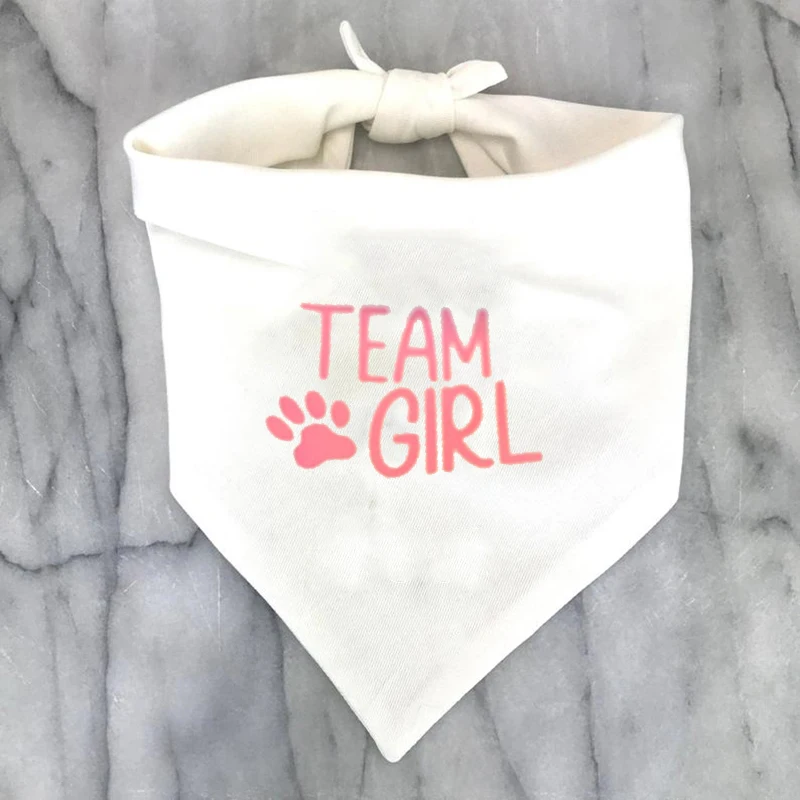Team Boy Team Girl Hundebandana, Geschlechtsenthüllungsparty, Schwangerschaftsankündigung, Babyparty, rosa oder blaue Dekoration, Geschenk, Foto-Requisiten – Detail 2