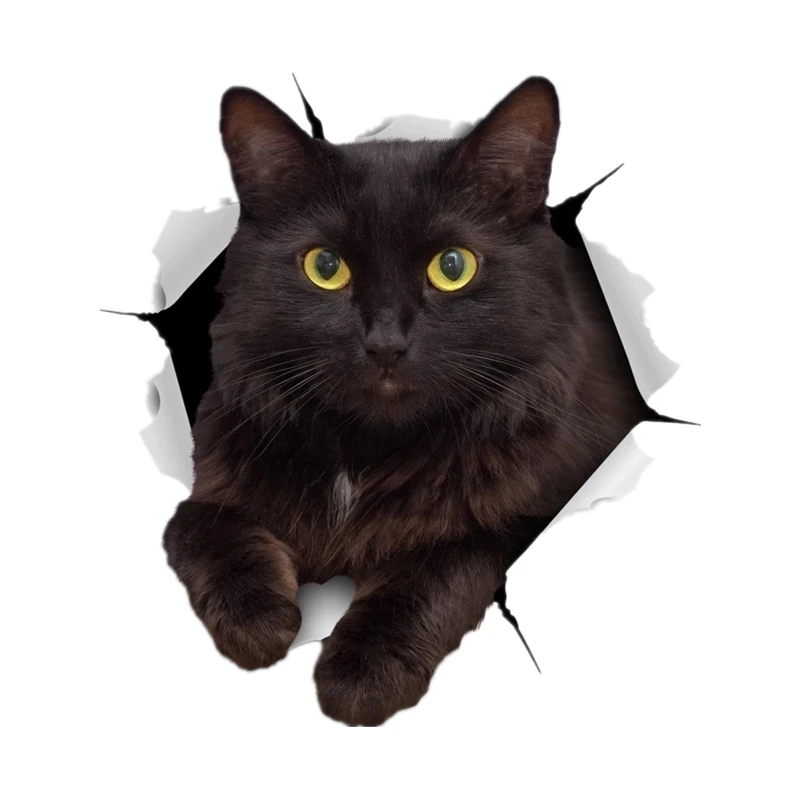 

S30979# Self-adhesive Decal RESTING BLACK CAT Car Sticker Motorcycle Laptop Waterproof Auto Decors on Bumper Rear Window