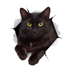 S30979# Self-adhesive Decal RESTING BLACK CAT Car Sticker Motorcycle Laptop Waterproof Auto Decors on Bumper Rear Window