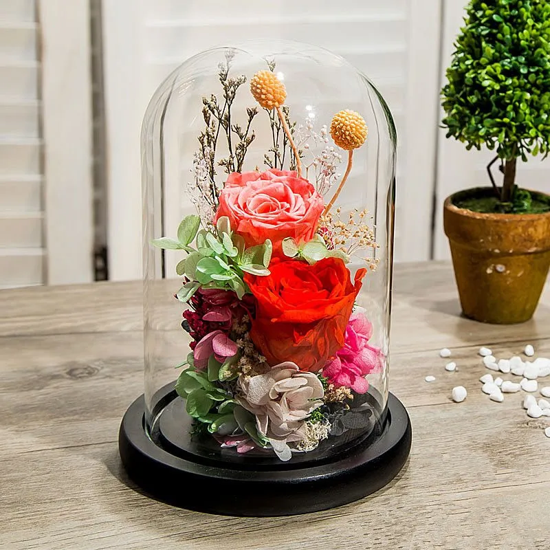 Free Shipping Diameter=10cm Height=12cm 15cm 18cm Black Base Glass Dome Home Decoration Transparent Cake Cover DIY Gift Wedding