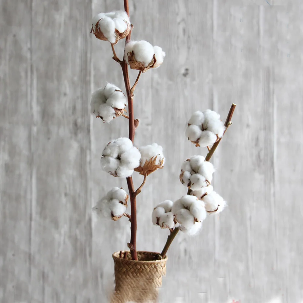 1pcs dried natural flower bouquets dried natural cotton branch flower bouquets one branch have 5 flowers