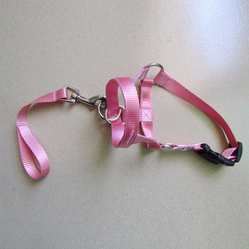 Collar de cabeza de entrenamiento Halti para perros, arnés de líder suave, arnés de poliéster para todas las estaciones, arnés de plomo útil, creativo