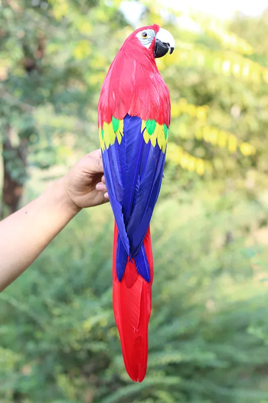 big real life red parrot model foam&feather turned parrot bird gift about 60cm xf2625