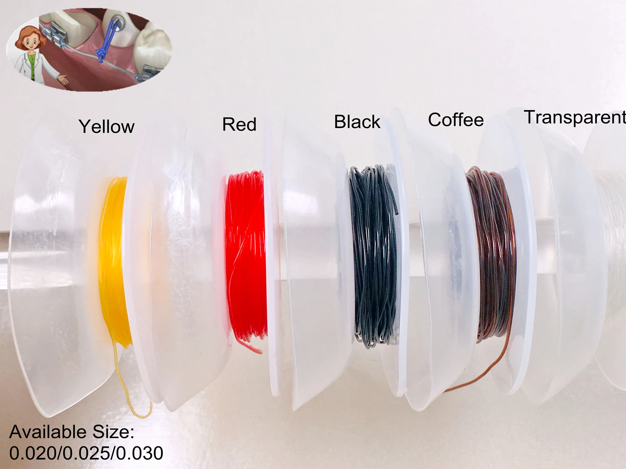 5 Rolls Dental Orthodontic Elastic Power Solid Thread 15FT/Roll 5Colors