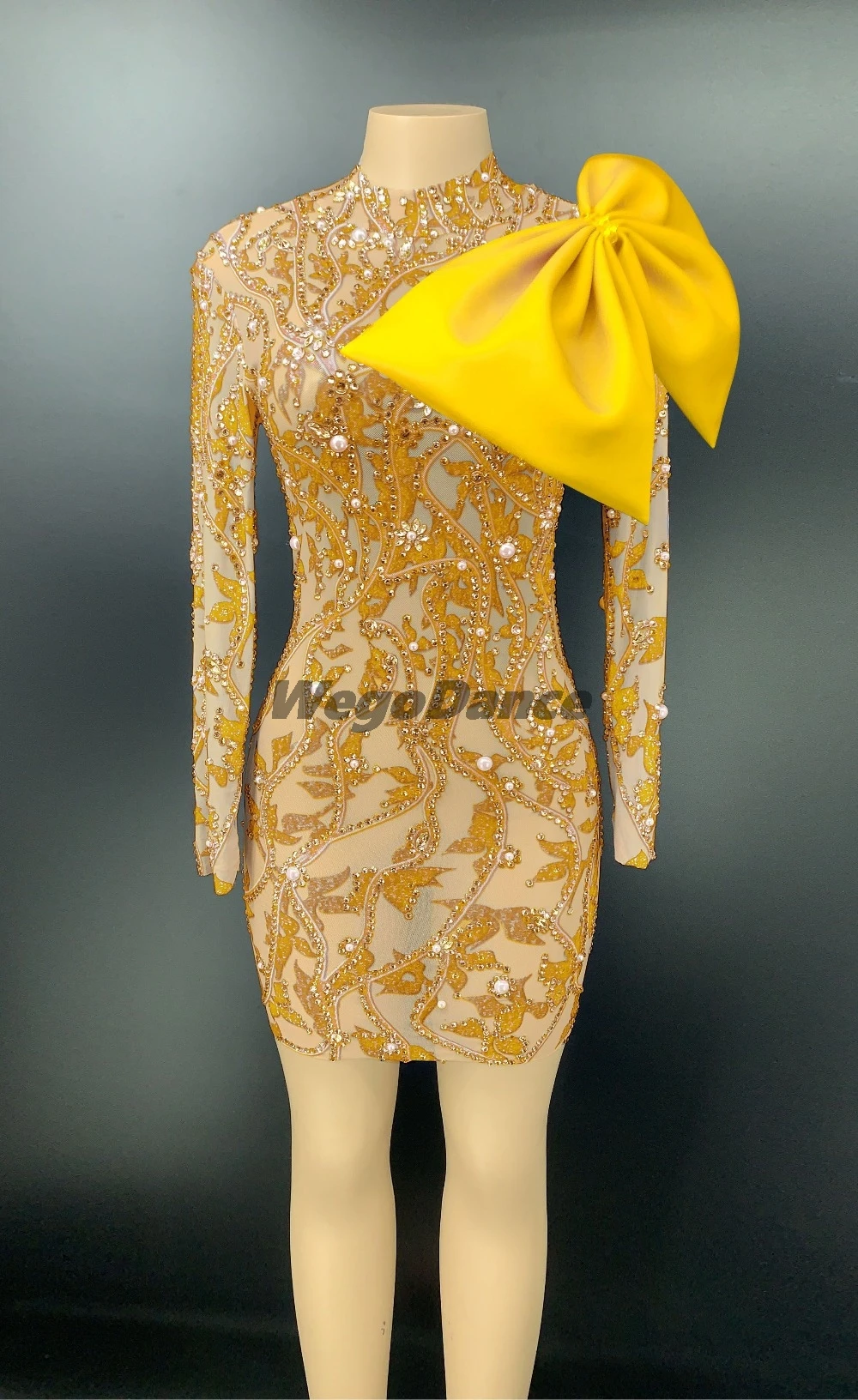 Prom Dress Flower Pattern Rhinestones Pearl Bow Transparent Short Birthday Women Dancer Costume