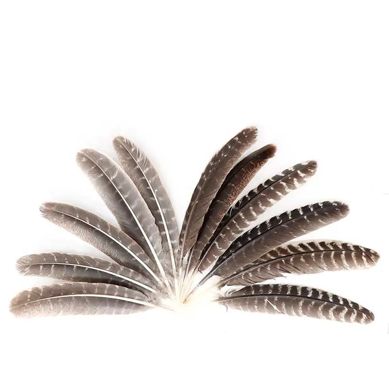 Beautiful 100pcs/lot Turkey Feathers 23-28cm Craft Home Wedding Accessories Celebration Plumas DIY Plume