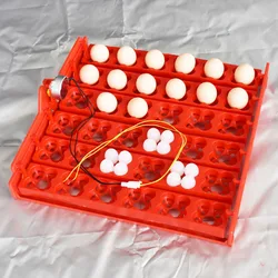 36 Eggs /144 Birds Eggs Incubator Tray Chickens AC220V DC12V Ducks And Pigeons And Other Birds Parrot Quail Incubator supplies