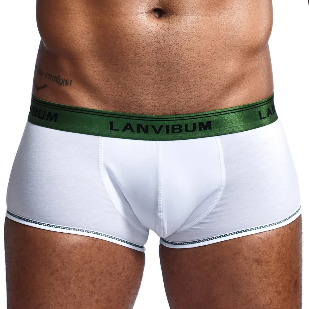 Men Underwear Comfortable Shorts Sexy Fit Underpants For Man Soft Breathable Boxers Ropa Interior Hombre