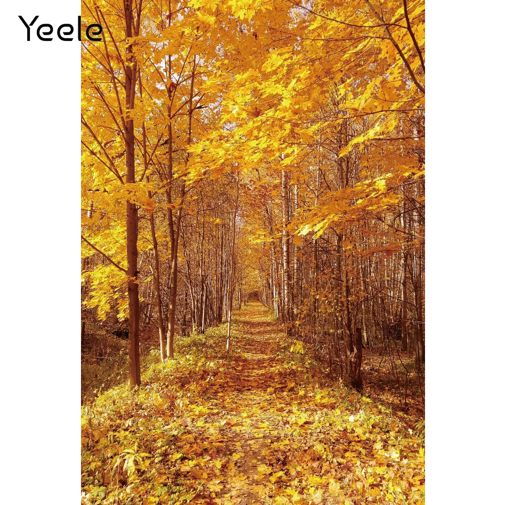 Yeele Autumn Forest Tree Fallen Leaves Nature Backdrop Landscape Scenery Photography Background Vinyl Photophones For Photos