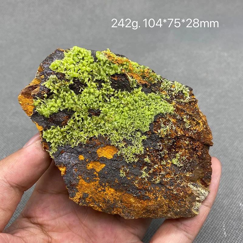 100% natural pyromorphite original stone mineral specimen cured crystal gem collection.