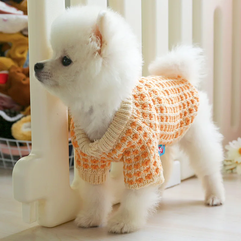 PETCIRCLE New Dog Puppy Clothes Orange Wafer Sweater Pet Cat Fit Small Dog Spring and Autumn Pet Cute Costume Dog Cloth Sweater