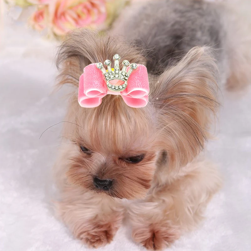 Dog Grooming Bows Crystal Crown Cat dog Hair Bows Small Pog Grooming Accessories Dog Hair Rubber Bands Pet Supplies