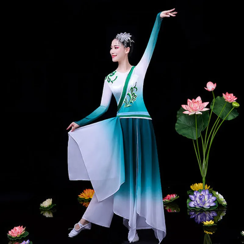 Classical dance costume female elegant Chinese style yangko fan dance new suit ethnic style umbrella dance dance costume