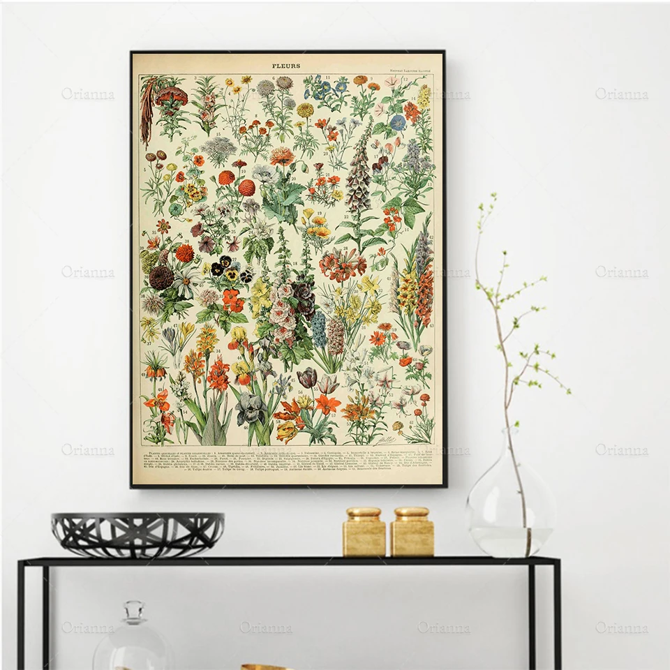 Fleurs By Adolphe Millot Botanical Flower Poster Print, Vintage Art Print, Floral Art, Nature Gift Idea Wall art poster print