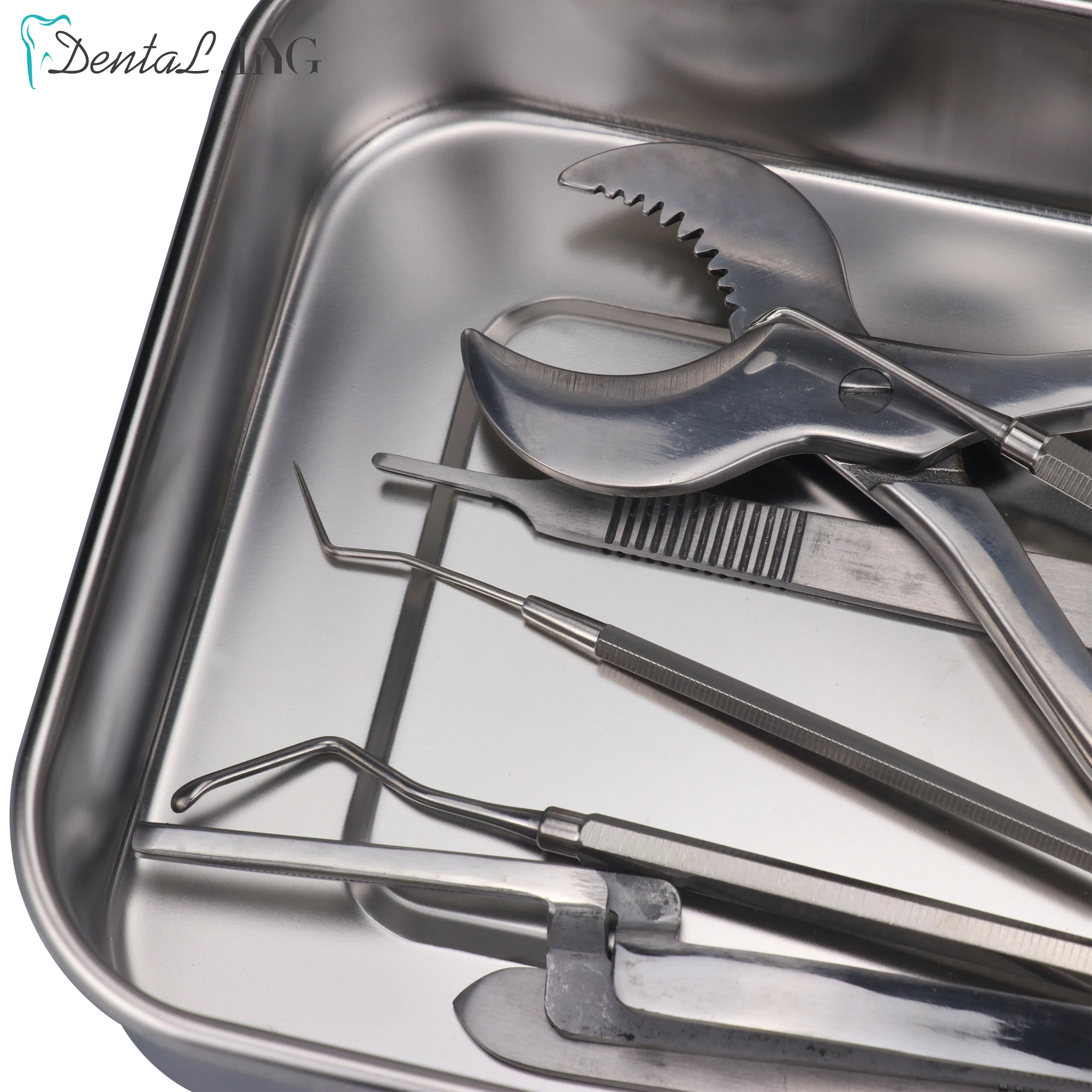 Dental Instruments Tray with Lid Stainless Steel Surgical Nursing Equipments Tools Sterilizer Container Dentist Storage Box