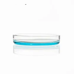 Boîte de Culture antibactérienne pétri, 100mm, 1lot/5 pièces, verre Borosilicate 3.3, laboratoire de chimie, levure bactérienne