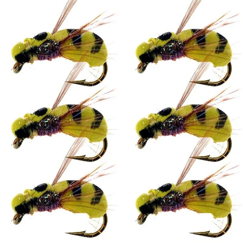 

5/10/20Pcs Beetle-Like Foam Boatman Dry Wet Fly Tying Hook Carp Fishing Zip Rig Trout Fishing Fly Lure Bait