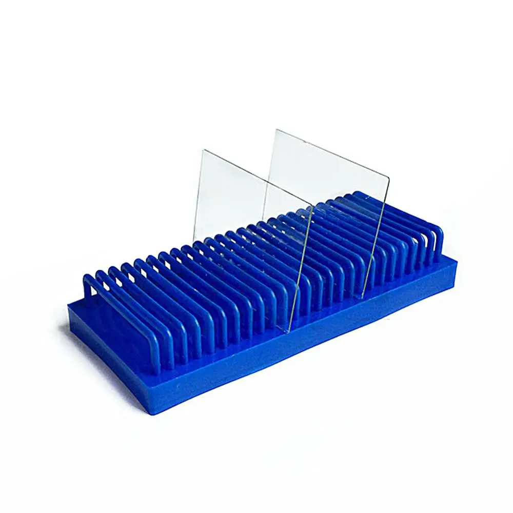 Imagem -02 - Vidro Slide Drain Rack Electroforese Gel Glass Plate Drying Holder Microscópio de Patologia Biológica Bio Slice Slot Holder 1pc