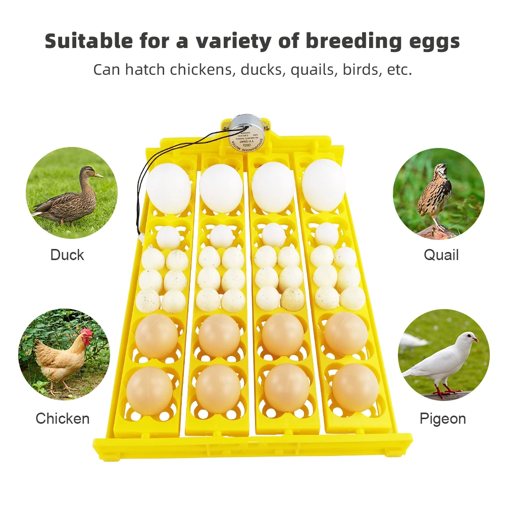 24 stücke Eier Inkubator Table – Quail Egg Incubator Bewertung und Preis