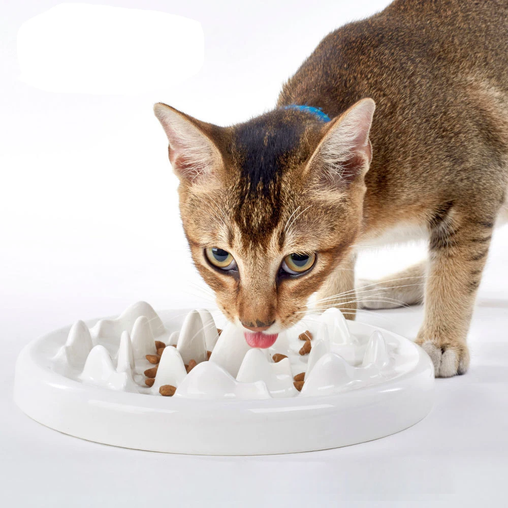 Imagem -05 - Cão de Estimação Gatos Alimentadores Tigelas Pegar Interativo Cerâmica Comida Lenta Tigela Gato Gatinho Alimentos Lentos Não Deslizamento Anti Gulping Alimentador Tigela