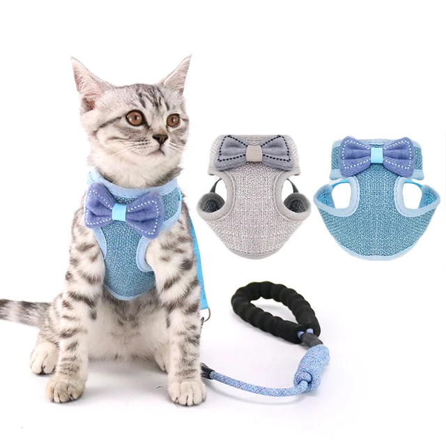 Cool cat harness 2025