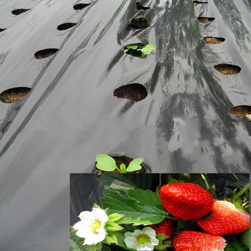 

10M Black Agricultural Shade photomask Plastic Perforated PE Film vegetables Strawberry Plants Seeding Membrane Garden articles