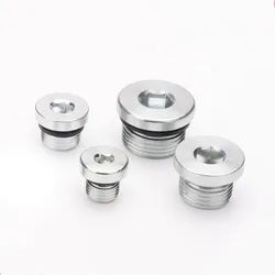 M8 M10 M12 M14 M16 M18 M20 M22 M24 M27 M30 Metric Male Thread 304 Stainless Steel Hex Socket Head End Cap Plug Pipe Fitting
