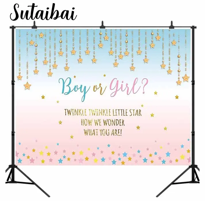 Pink and Blue Gender Reveal Party Backdrop Boy or Girl Twinkle Twinkle Little Star Photography Background Gender Surprise Banner