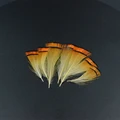 Tippet Section 20pcs