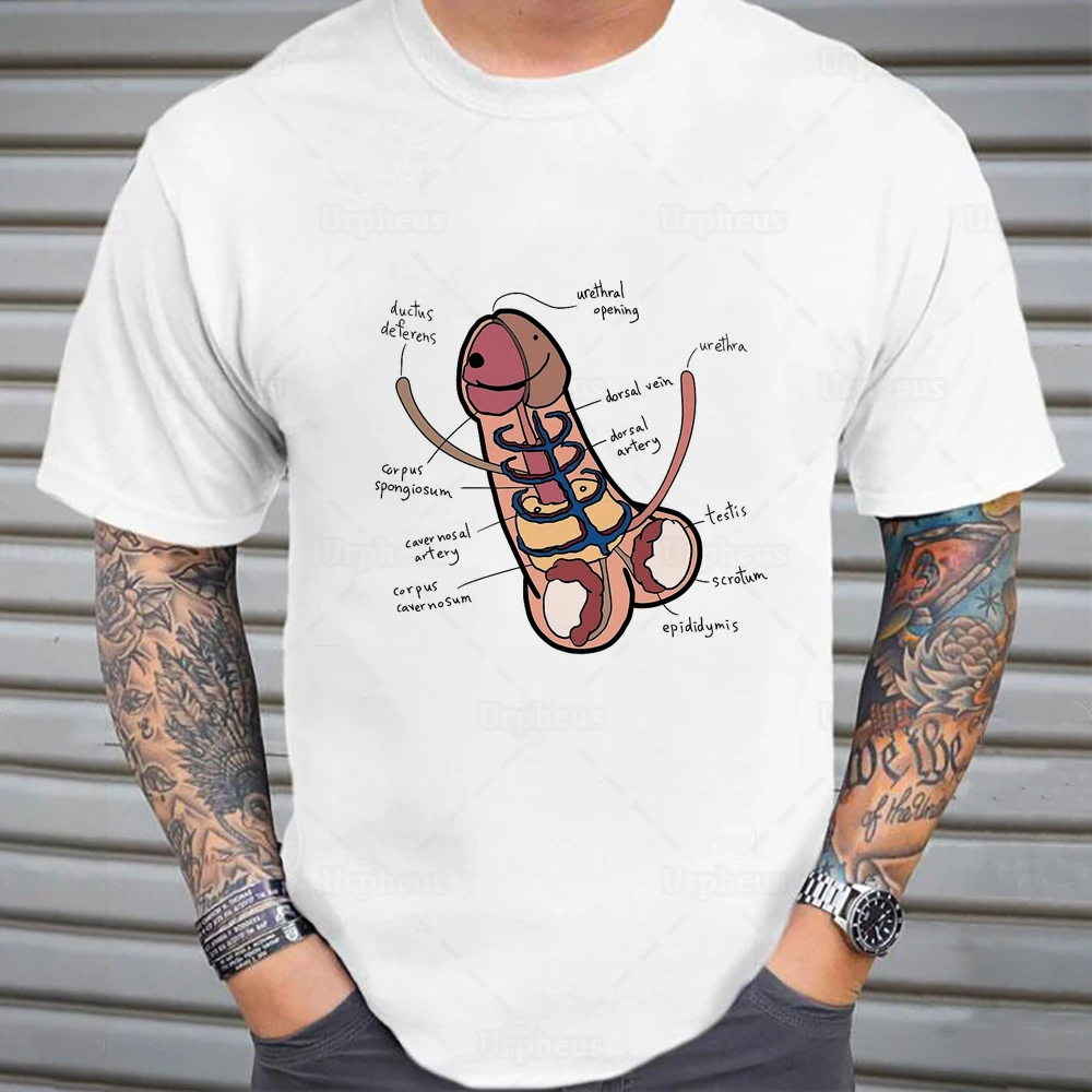 The Anatomy of A Penis Funny Tshirt Humors Joke Novel Educational Shirt  Hip Hop Geek Cotton Tees