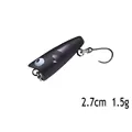 PP1-black