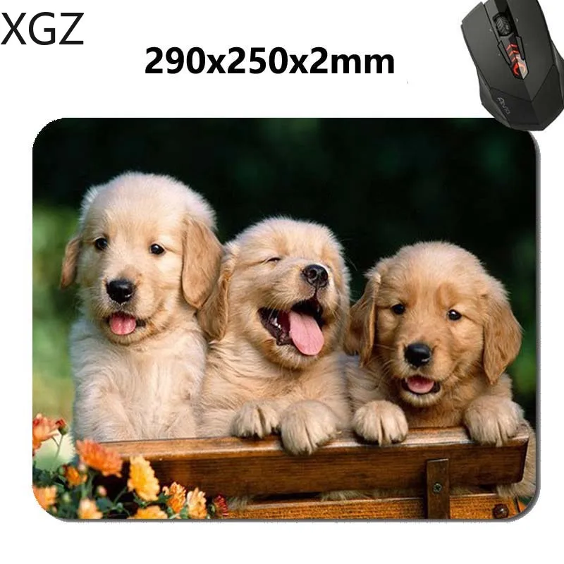 XGZ Animals Cat Kitten Dog Golden Retriever Puppy Mousepad,Custom Rectangular Mouse Pad in 220*180*2mm - office accessory and