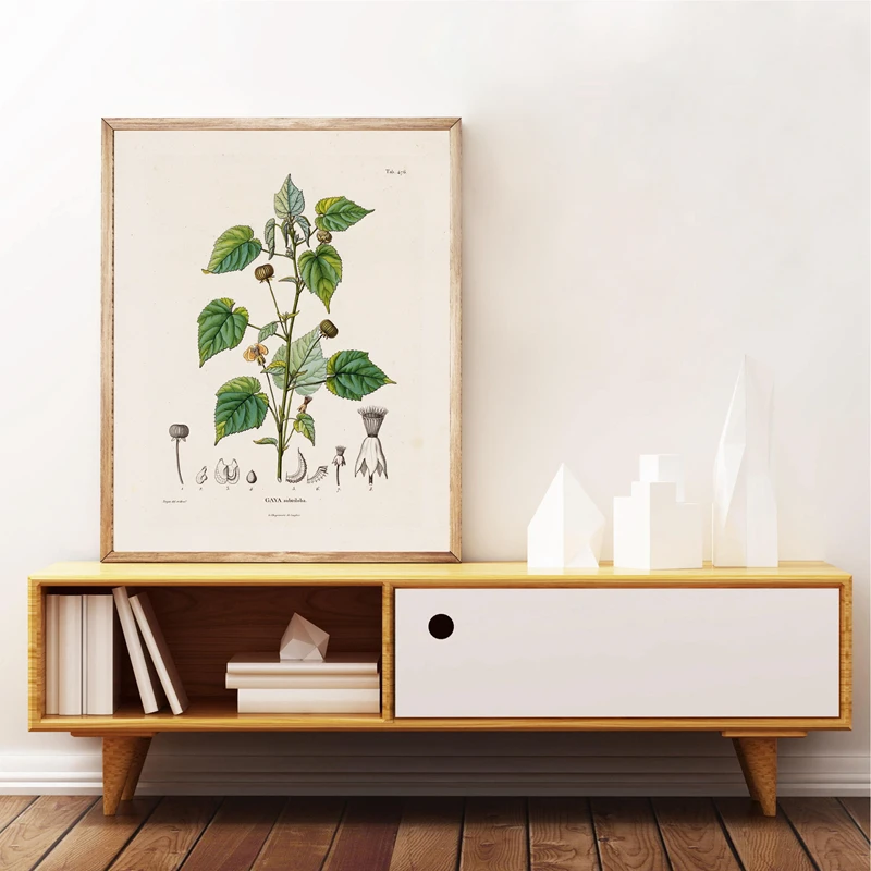 Botanical Studies Vintage Posters and Prints Antique French Plant Illustrations Canvas Painting Botany Wall Art Pictures Decor