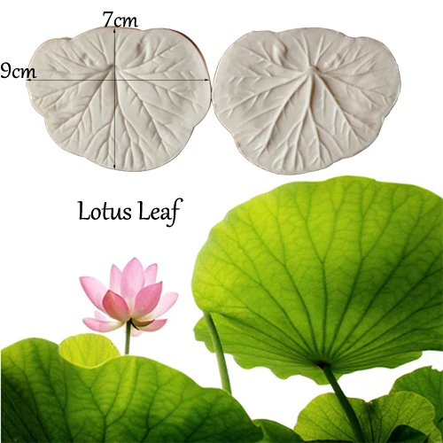 Lotus Leaf Veiner Silicone Mold Chocolate Fondant Gumpaste Sugar Clay Flower Cake Decorating Tools Cold Porcelain Moulds M2109