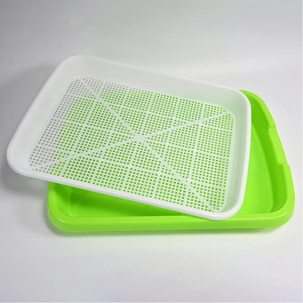 Seed Sprouter Tray BPA Free PP bezglebowa duża pojemność zdrowa z pokrywą sadzonka kiełkowa płyta roślina hydroponiczna doniczki