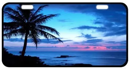 

Tropical Paradise Ocean Beach Scene with Palm Trees Novelty License Plate Decorative Front Plate 6.1" X 11.8"