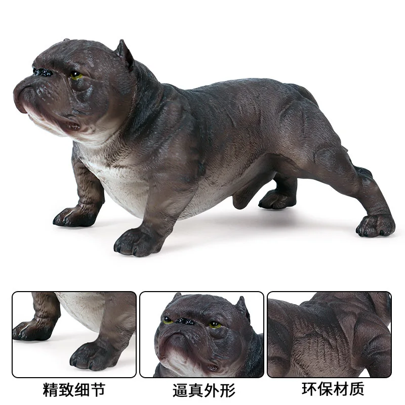 Children's Simulation Static Solid Wild Animal Pet Dog Set American Bully Dog Model Toy Collecting Gifts Toy Model