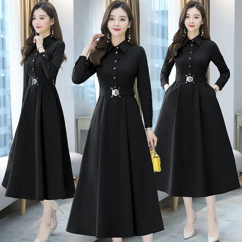 Women Dress New Female Spring Autumn Long Sleeve Dresses Middle-aged Female Fashion Dress Mujer Vestidos C