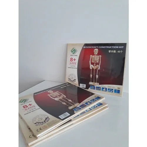 Модель корабля Sealand Wood 3D Skeleton