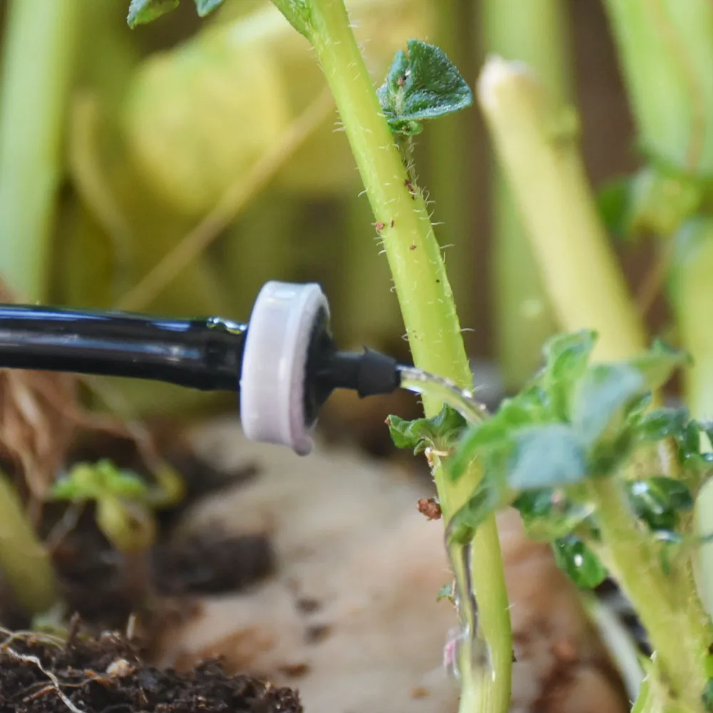 

500-200 Pcs 2L 4L 8L Pressure Compensate Dripper Automatic Drip Irrigation Regulator Garden Watering Steady Flow Emitter