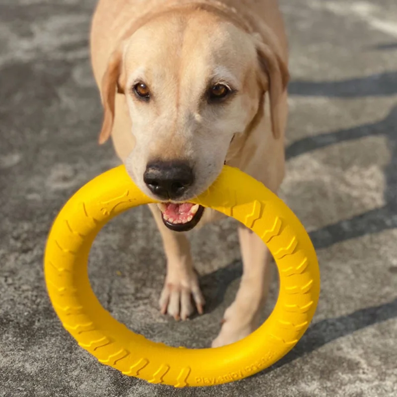 Pet Flying Discs EVA Dog Training Ring Puller Resistant Bite Floating Toy Puppy Outdoor Interactive Game Playing Products Supply